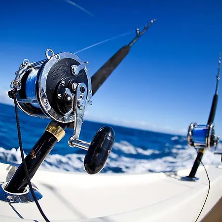Professional Fishing Trip In Casa vacanze Alanya