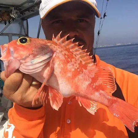Professional Fishing Trip In Holiday home Alanya